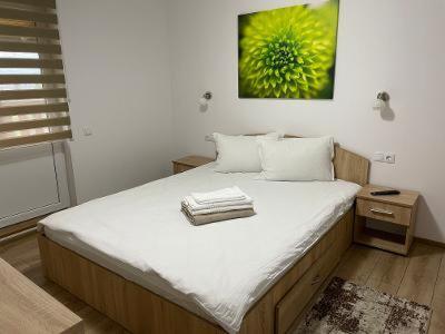 Casa Milla Otel Sovata Dış mekan fotoğraf
