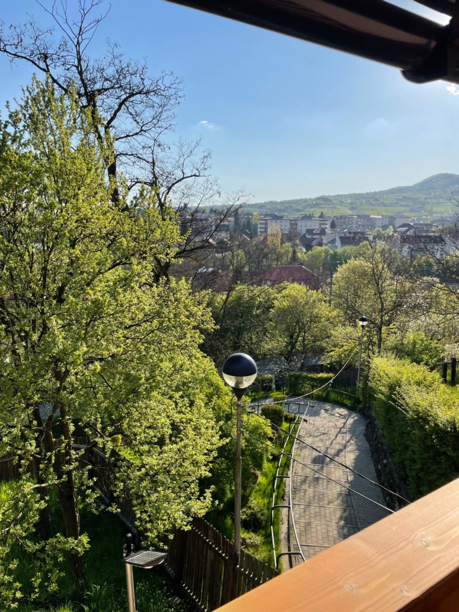 Casa Milla Otel Sovata Dış mekan fotoğraf